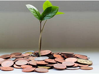 A Financial Advisor On What Yo...